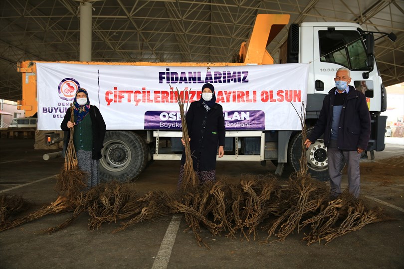 Büyükşehir üreticinin yüzünü güldürmeye devam ediyor