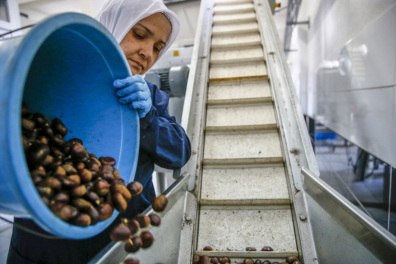 BÜYÜKŞEHİR’DEN KIRSAL KALKINMAYA BÜYÜK DESTEK