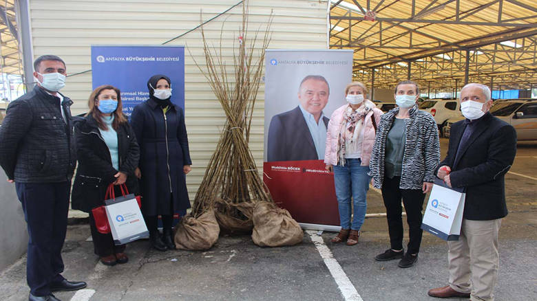 Gazipaşalı kadın girişimcilere dut fidanı desteği