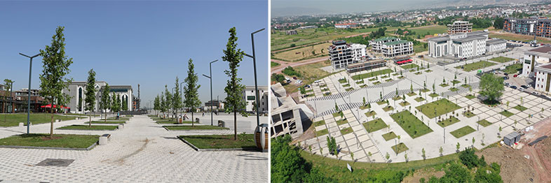 Kartepe Kent Meydanı’nda çınar ağaçları yeşerecek