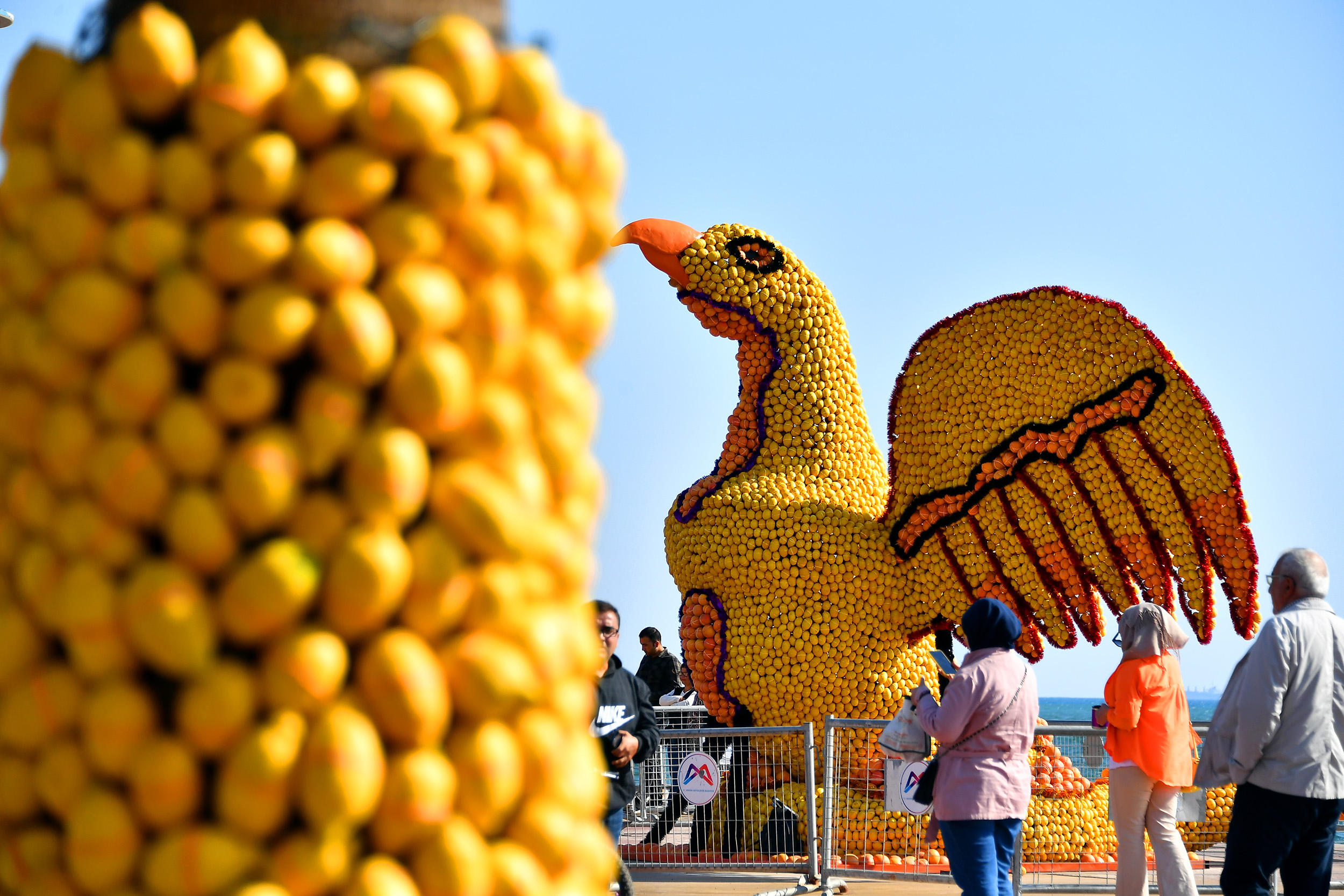 Mersin, Narenciye Festivali'nde Buluştu