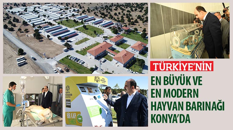 Türkiye’nin En Büyük ve En Modern Hayvan Barınağı Konya’da