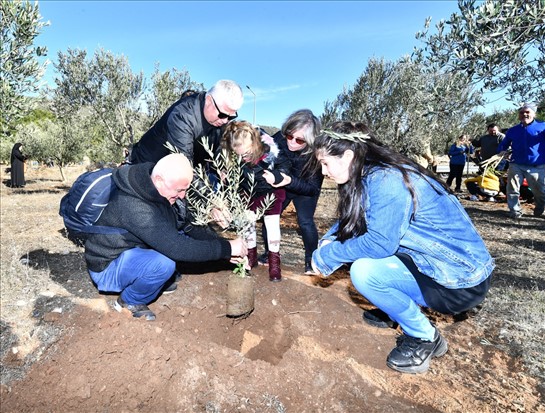 Zeytini merkezine alan ilk çocuk festivali İzmir’de yapıldı